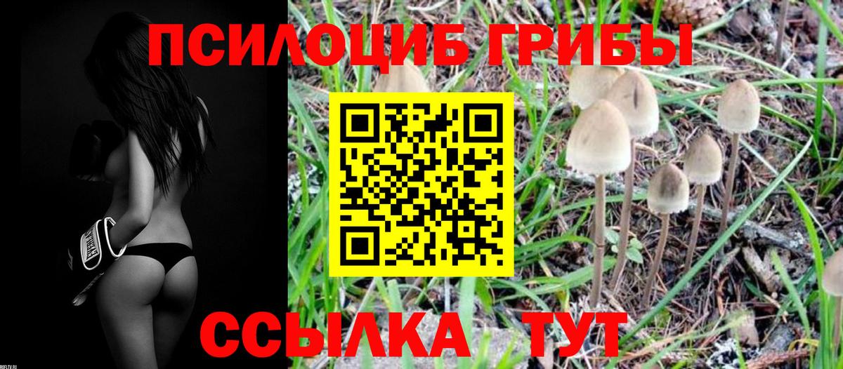 Псилоцибиновые грибы мицелий Новый Уренгой